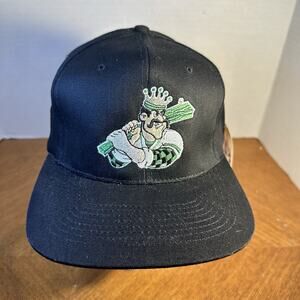 Vintage 90's Clinton LumberKings MILB Snapback Hat Cap New NWT Deadstock